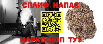 мдпв Кинель