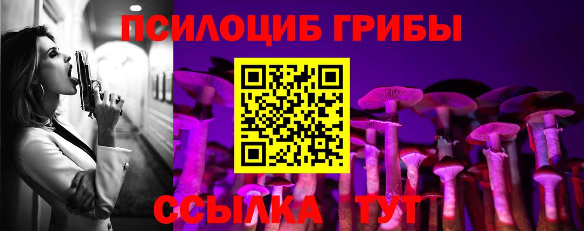 Галлюциногенные грибы Cubensis Кыштым
